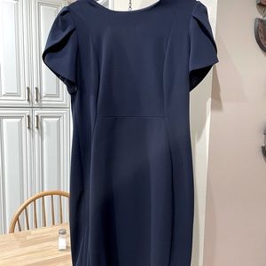 Calvin Klein dark navy sheath dress with tulip short sleeves and zipper back